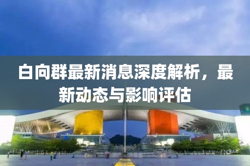 白向群最新消息深度解析，最新动态与影响评估