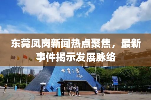 东莞凤岗新闻热点聚焦，最新事件揭示发展脉络