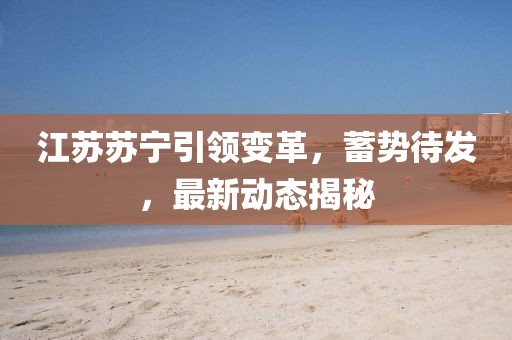 江苏苏宁引领变革，蓄势待发，最新动态揭秘