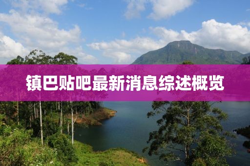 镇巴贴吧最新消息综述概览