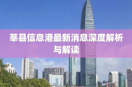 莘县信息港最新消息深度解析与解读
