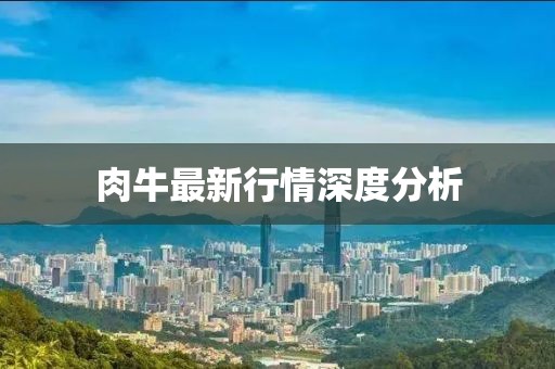 肉牛最新行情深度分析