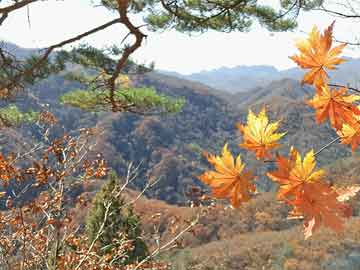 郑建明，展现领导风采与时代担当的最新消息