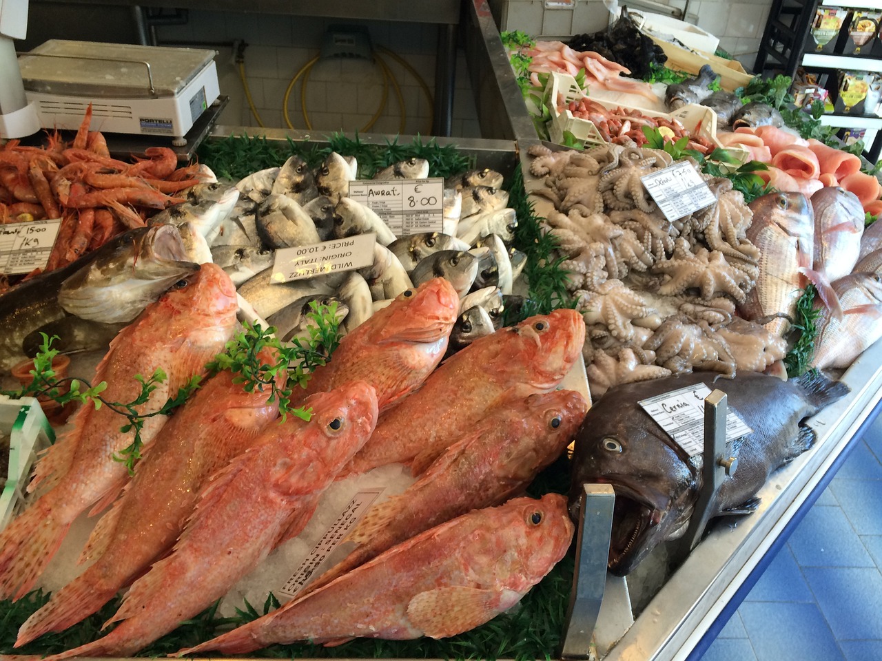 最新鱼包引领海鲜美食新潮流