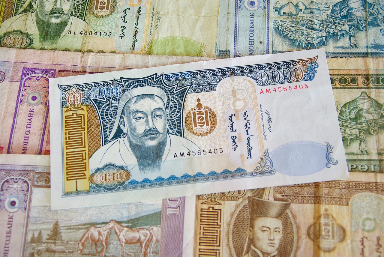 蒙古国家发展与社会进步的新篇章，最新新闻报道汇总