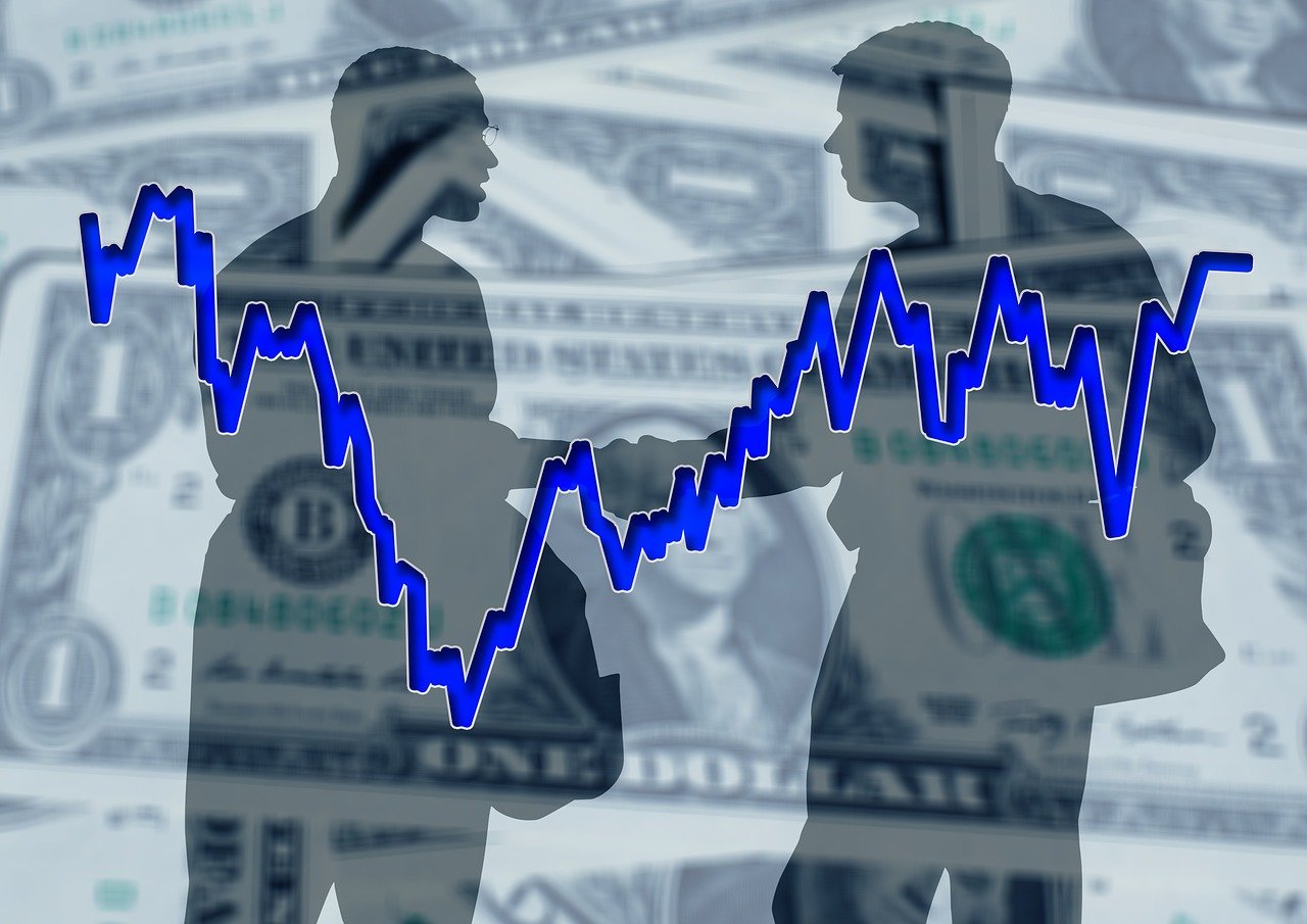 桔梗最新价格及行情分析