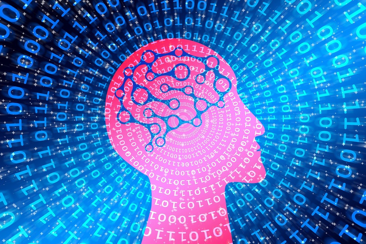 红宝石最新网站，探索数字世界的璀璨明珠门户