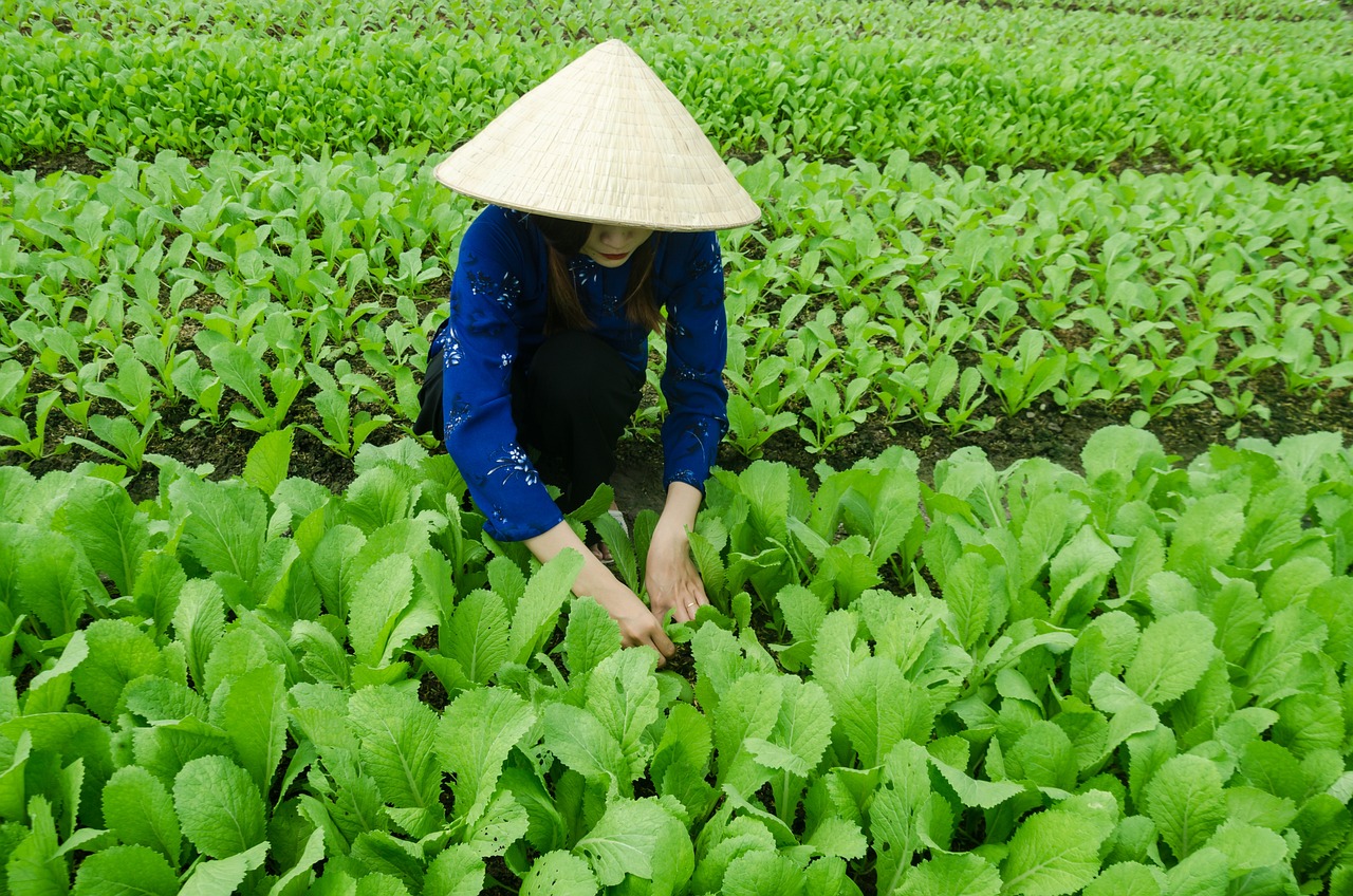 洪庆最新招聘动态与人才发展战略概览