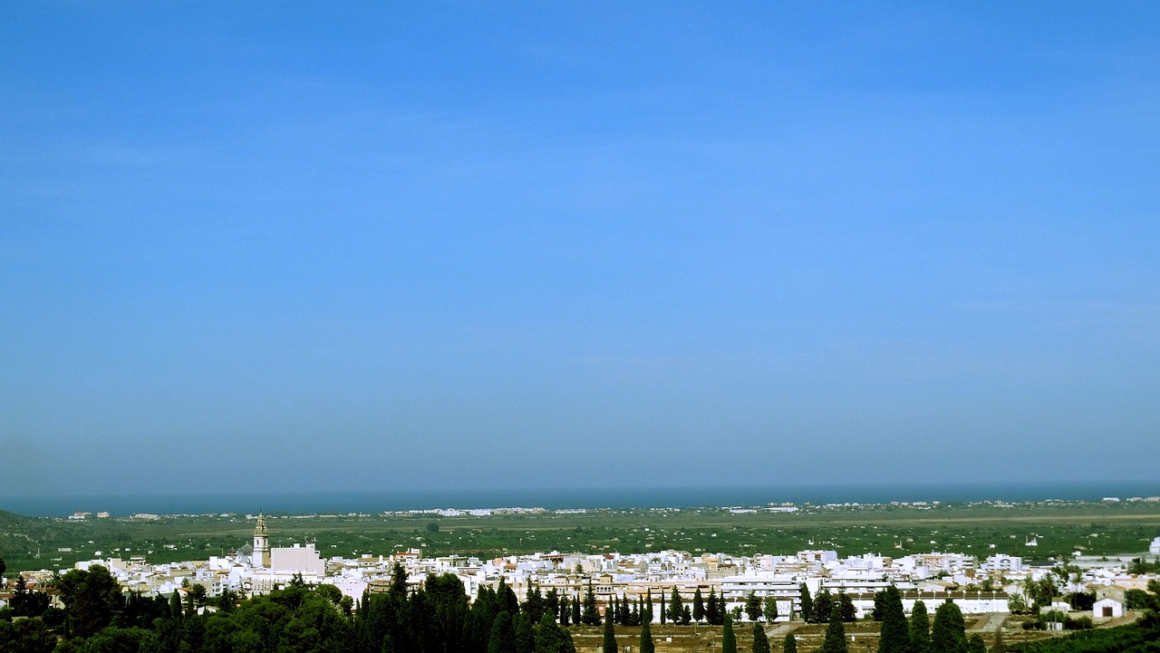 袁大头试铸币市场最新价格动态解析及市场分析