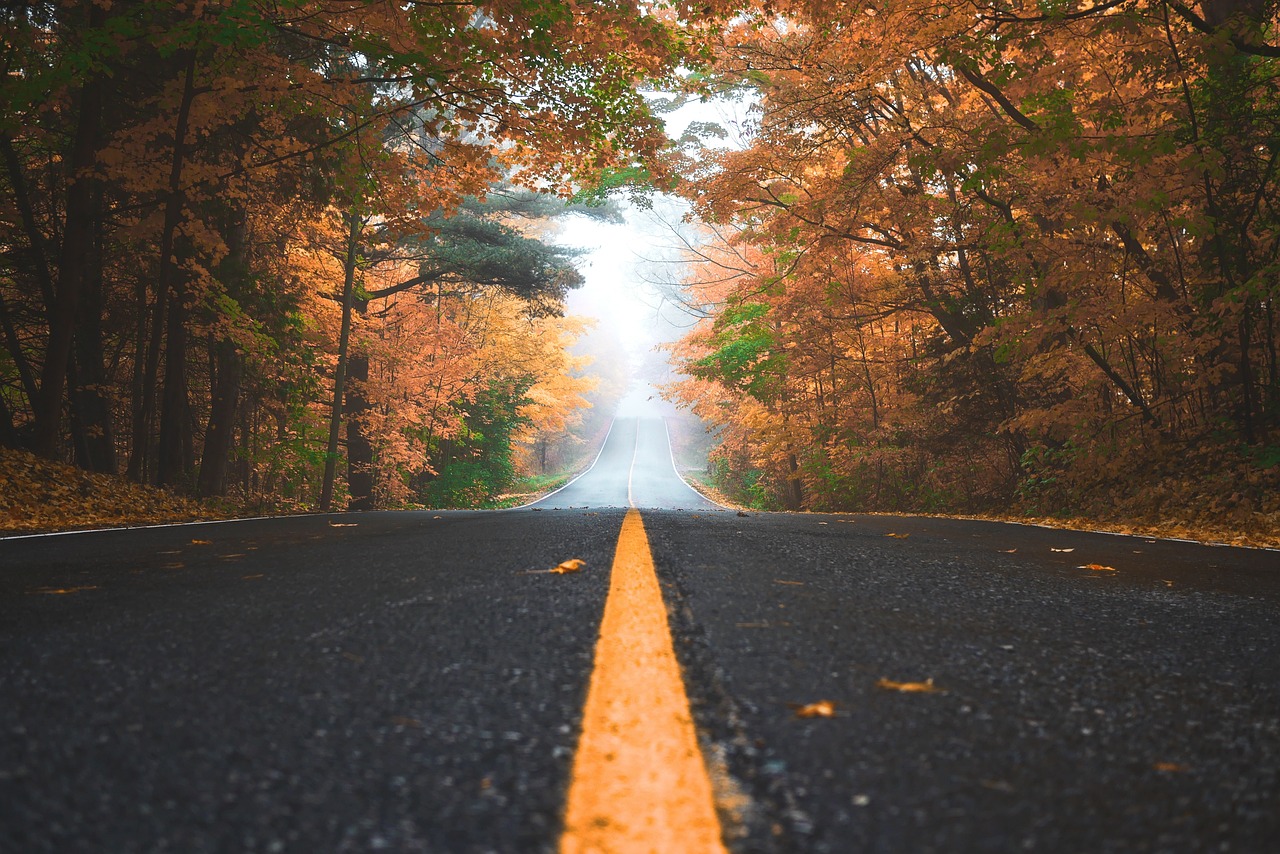 探索最新科技与自然融合，三月小蝌蚪软件最新版奇妙旅程