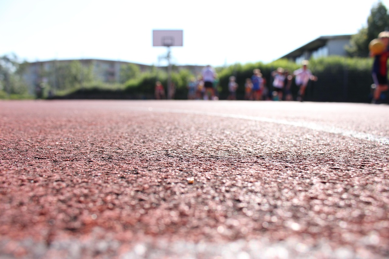 五月聚焦，辽宁篮球最新动态速递